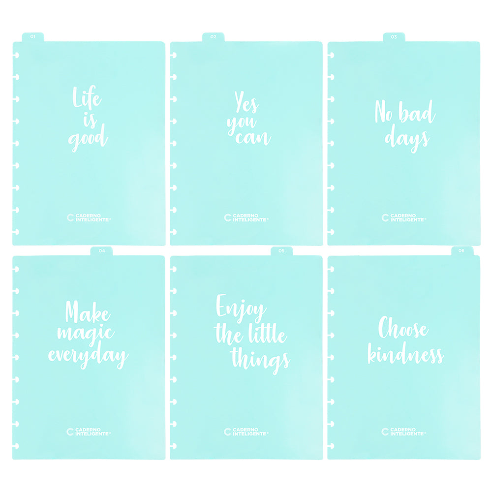 Divisórias Inspire 12