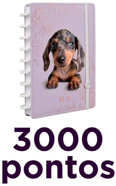 3000 pontos