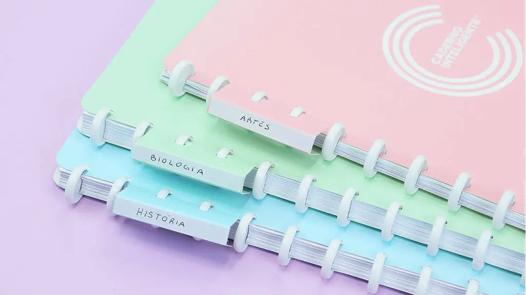 Pasta Organizadora Pasta Organizadora