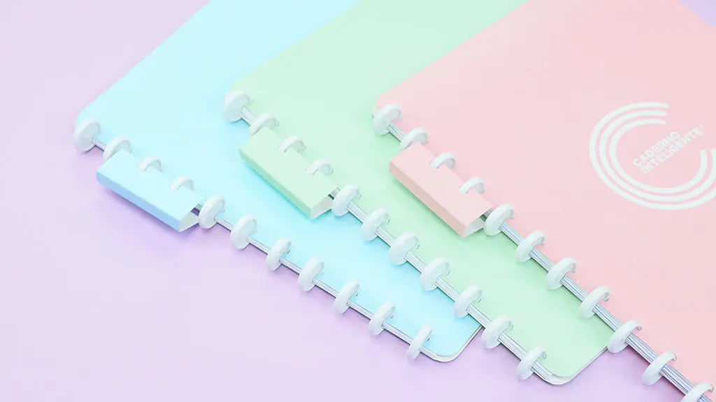 Pasta Organizadora Pasta Organizadora