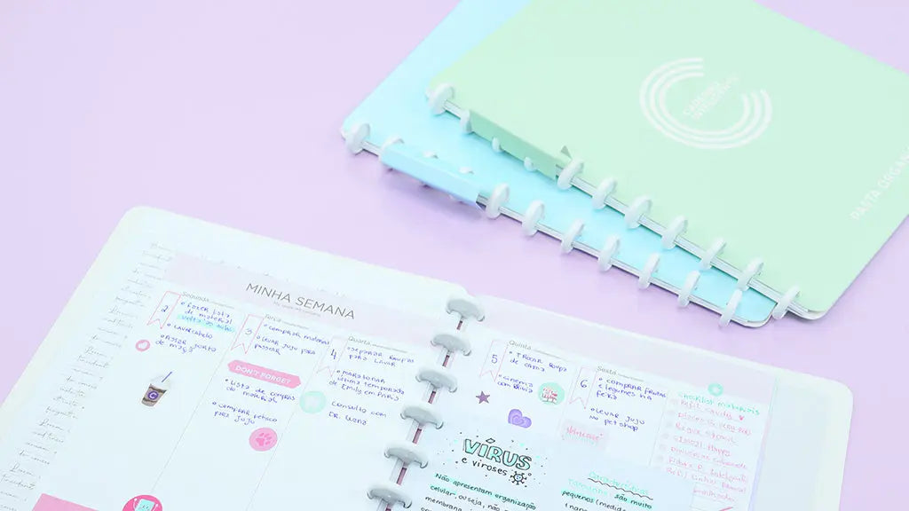 Pasta Organizadora Pasta Organizadora