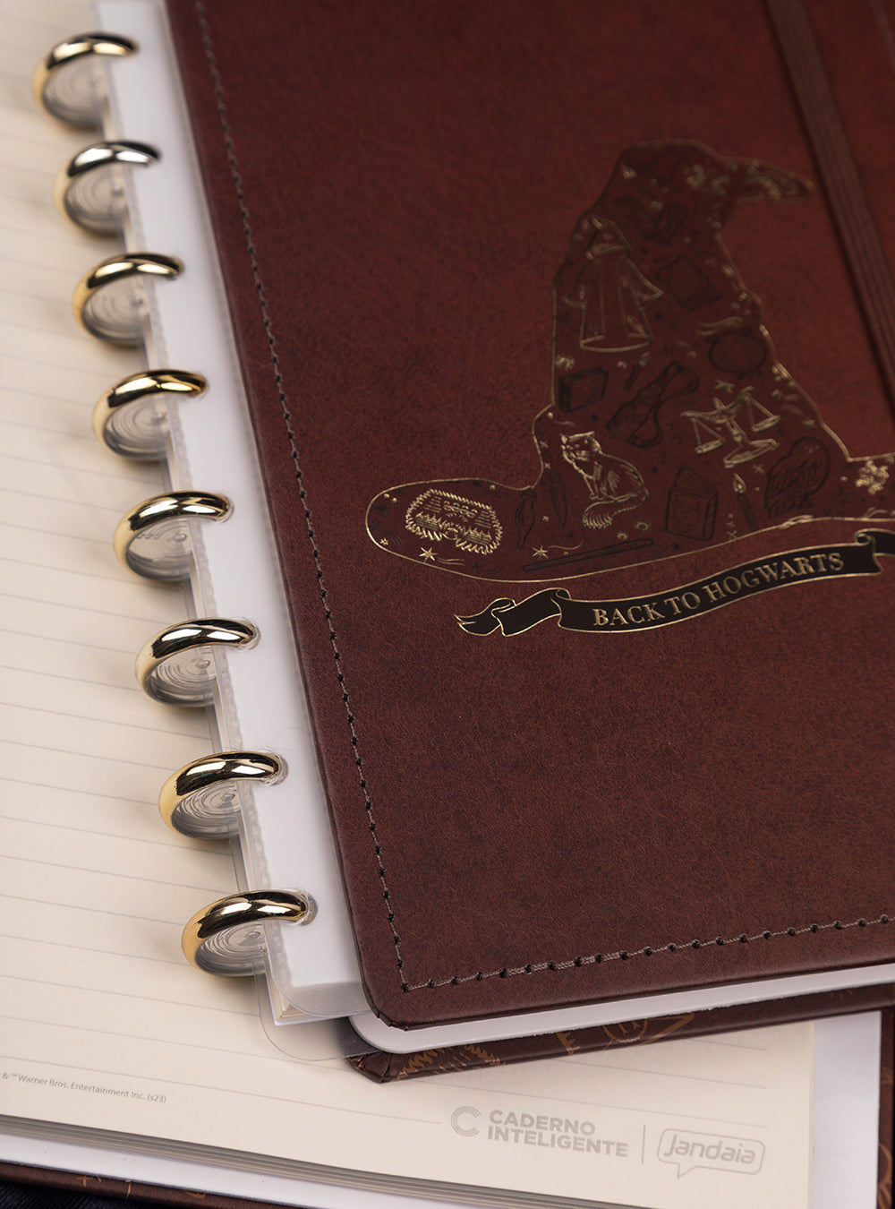 CADERNO CI BY HARRY POTTER CHAPÉU SELETOR