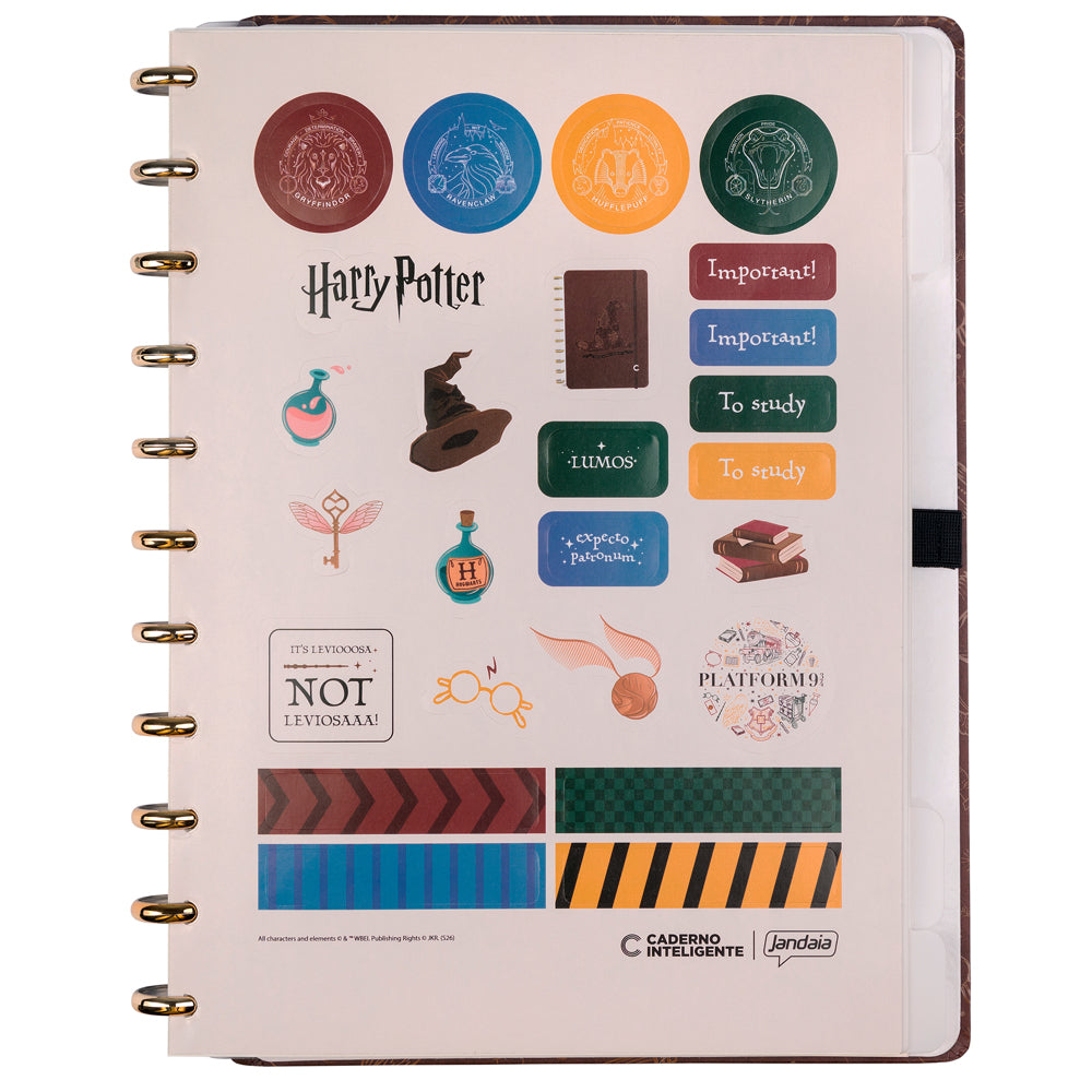 CADERNO CI BY HARRY POTTER CHAPÉU SELETOR