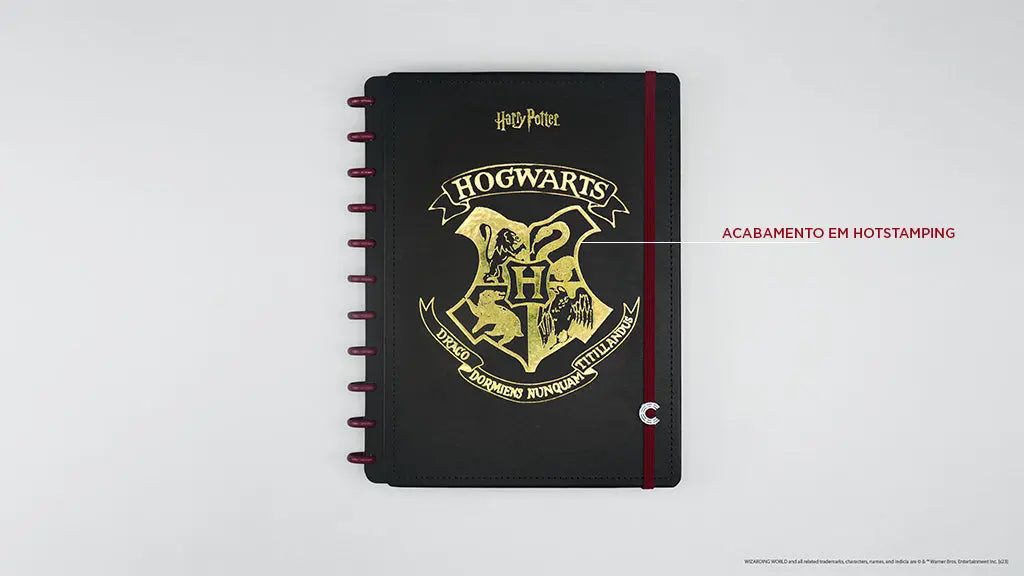 CADERNO CI BY HARRY POTTER