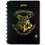 CADERNO CI BY HARRY POTTER Caderno Inteligente ®