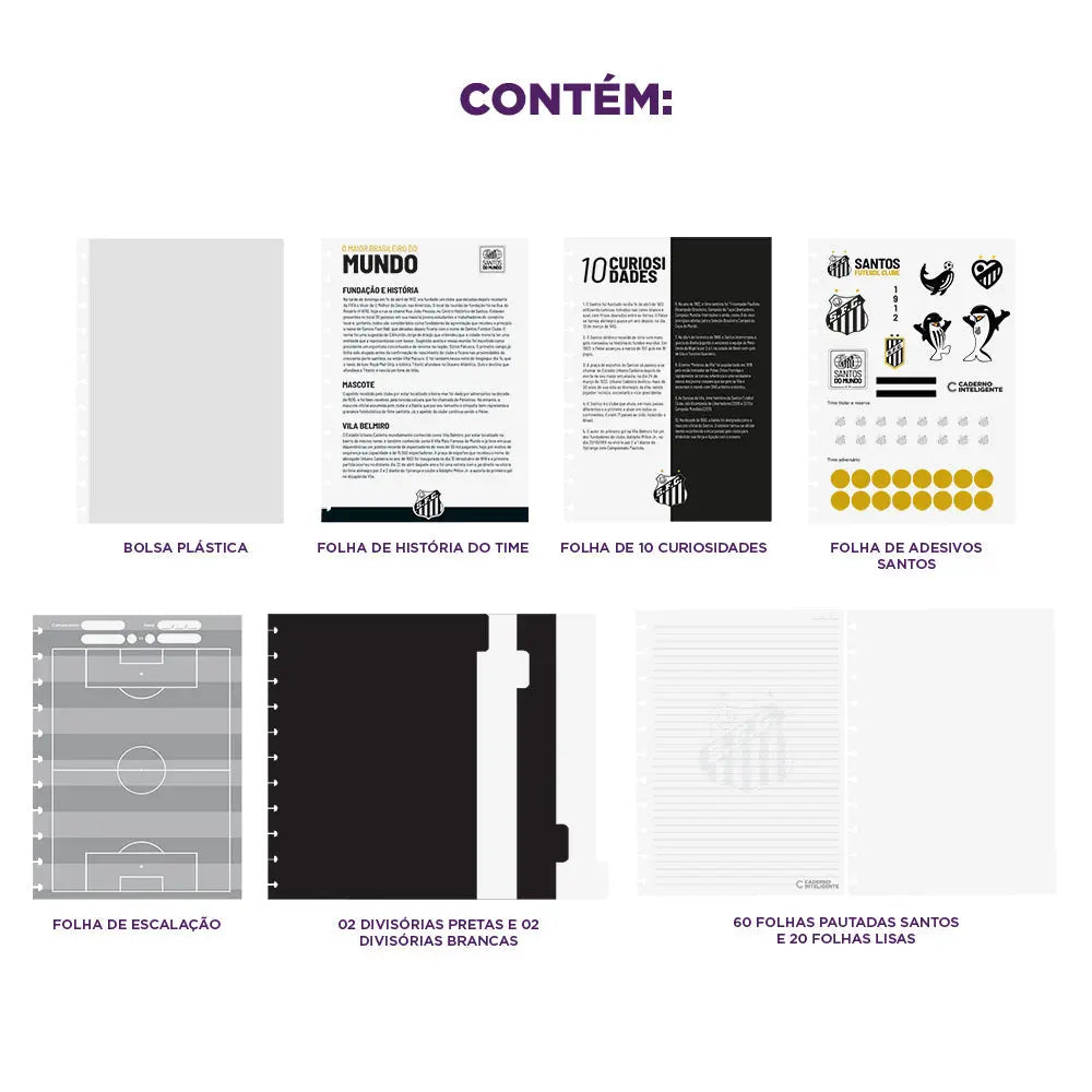 CADERNO DO SANTOS Caderno Inteligente ®