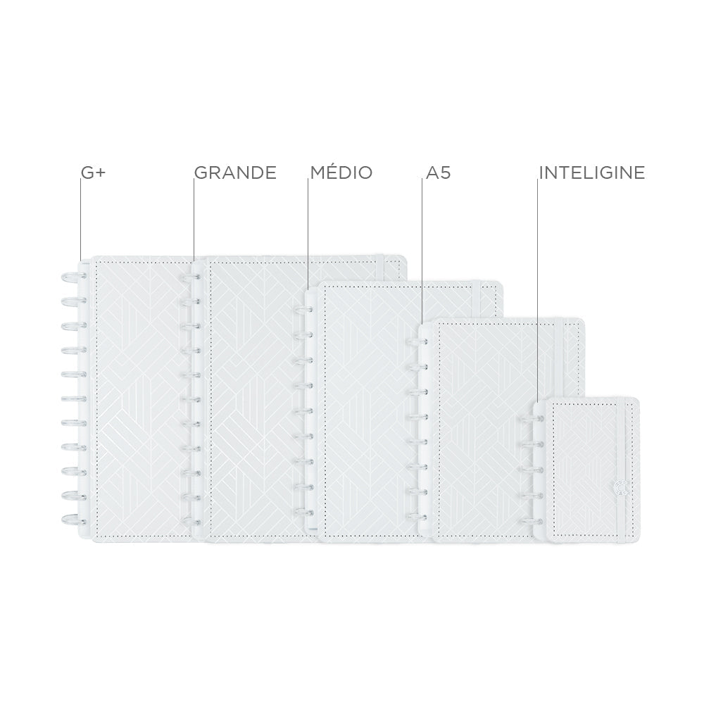 CADERNO ICE GREY Caderno Inteligente ®