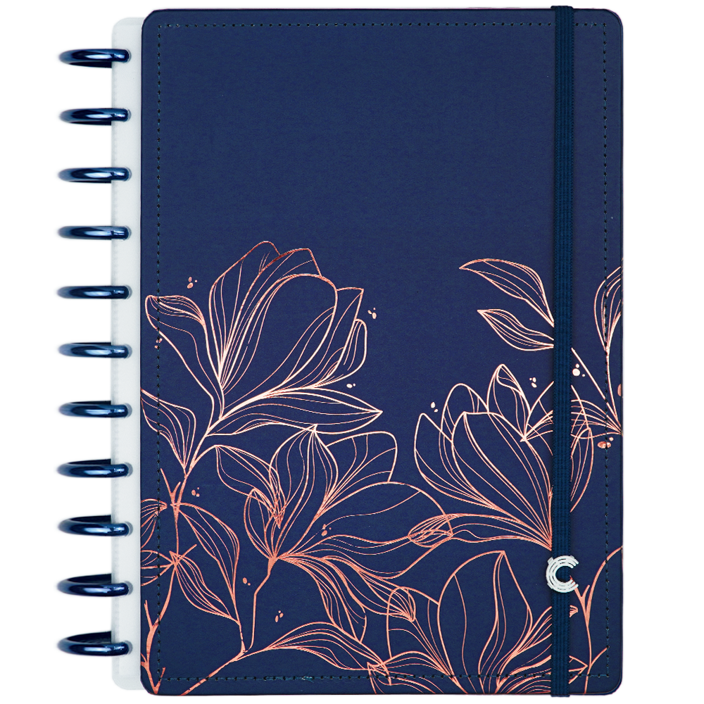 CADERNO 10 MATÉRIAS BT DREAM
