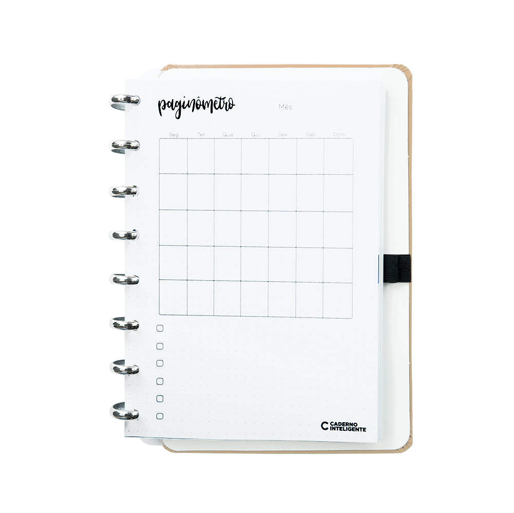 CADERNO INTELIGENTE DE LEITURA