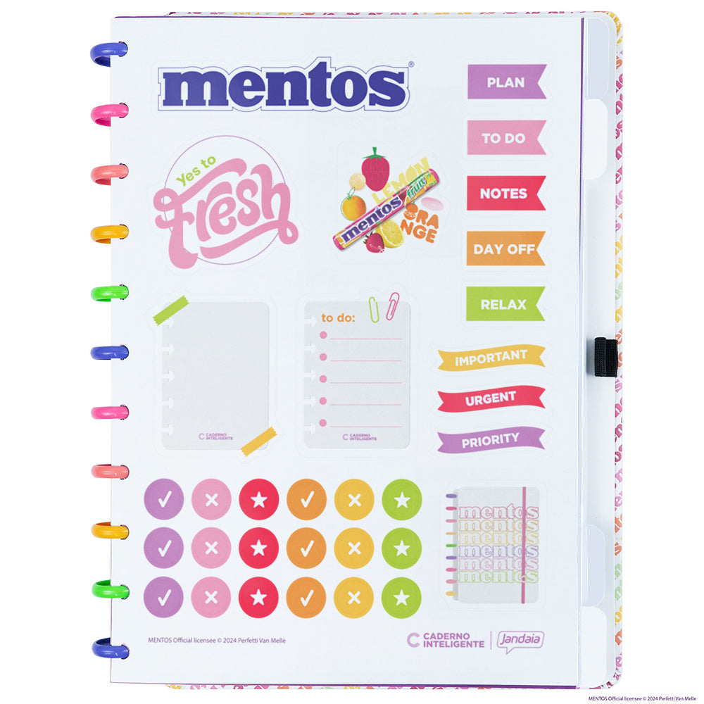 CADERNO MENTOS