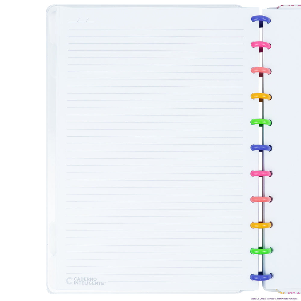 CADERNO MENTOS