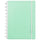 Caderno Inteligente Verde Pastel