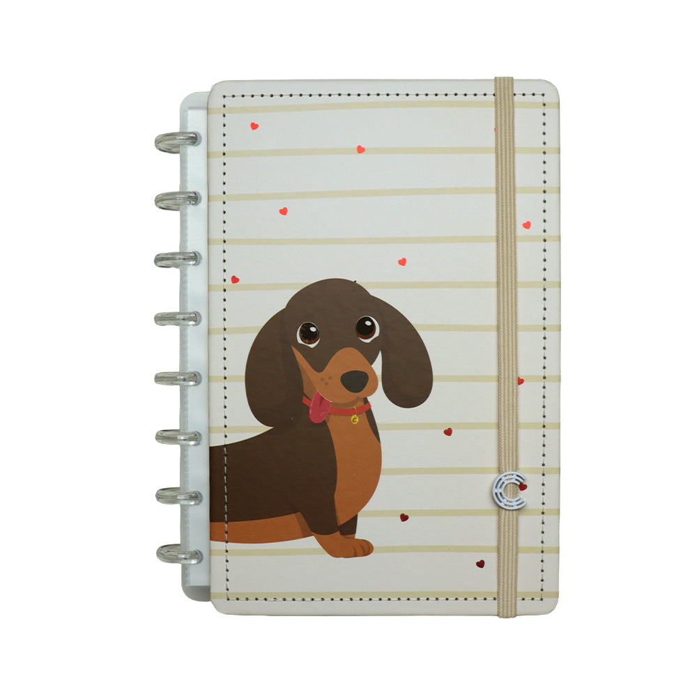 CADERNO DOLCINHO