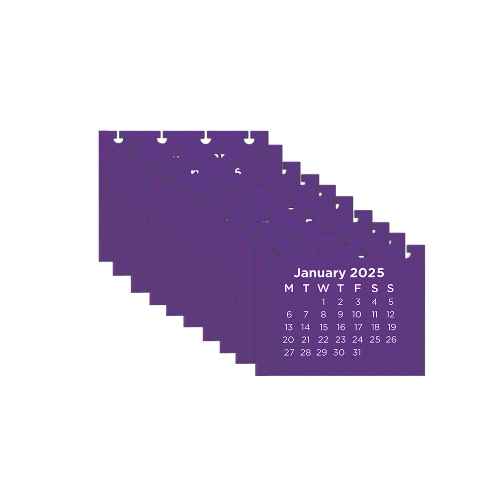 Refil Calendário - Meses 2026 Caderno Inteligente ®